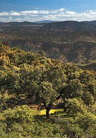 Molino Rio Alajar