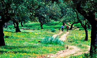 Molino Rio Alajar