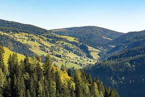 Almdorf Seinerzeit