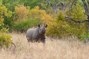 Pondoro Game Lodge  - Open to Kruger Park