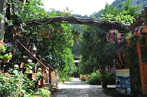 Turkmen Tree Houses