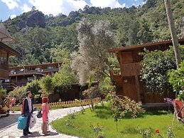Turkmen Tree Houses