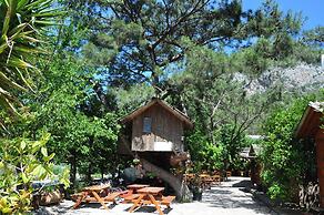 Turkmen Tree Houses