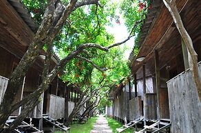 Turkmen Tree Houses