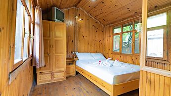 Turkmen Tree Houses