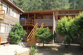 Turkmen Tree Houses