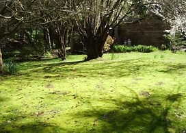 Allenvale