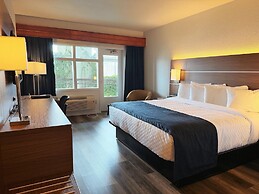 Hotel L'Oie des neiges
