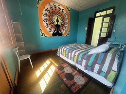 Holistic Scandinavia House