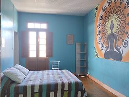 Holistic Scandinavia House