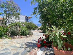 Paradis Studios