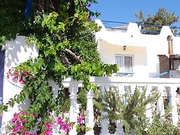 Paradis Studios