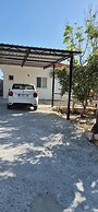 Rose Hotel B&B