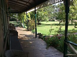 Butterfly Farm