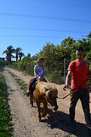 El Rancho