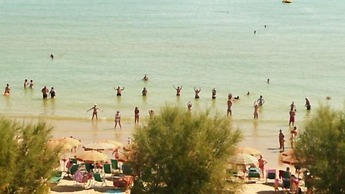 Hotel Narcisi