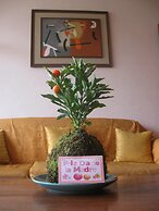Posada Peregrinus