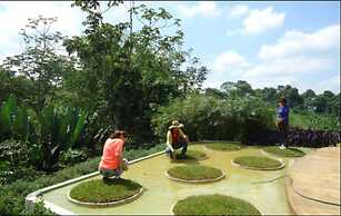 Hacienda Combia