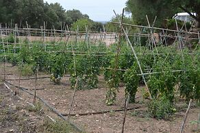 Finca Son Samà