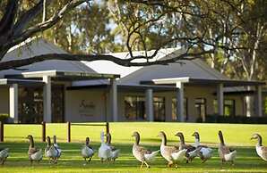 Serafino McLaren Vale