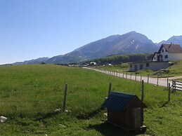 Boskovica Brvnare