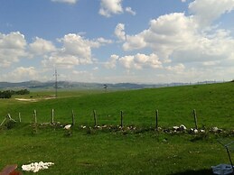 Boskovica Brvnare