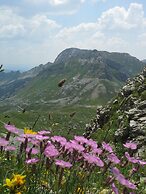 Boskovica Brvnare