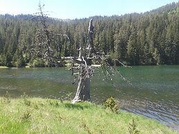 Boskovica Brvnare