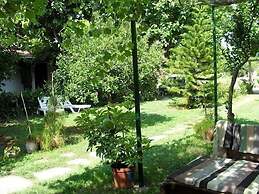 Cesur Pansiyon