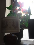 Il Giardino Segreto