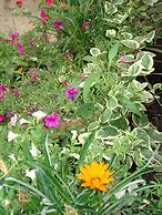 Il Giardino Segreto