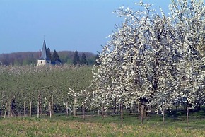 Château de la Motte