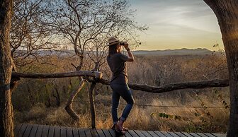Madikwe Safari Lodge