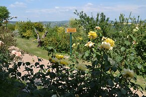 Tenuta Pizzogallo