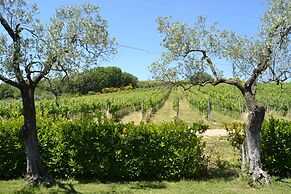 Tenuta Pizzogallo