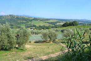 Tenuta Pizzogallo