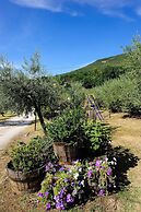 Agriturismo Colle degli Olivi