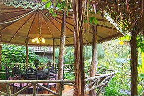 Fig Tree Hill Resort