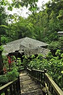 Fig Tree Hill Resort