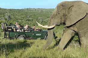 Kariega Game Reserve - Main Lodge