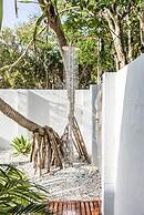 Cape Beach House