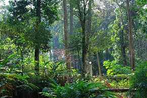 Green Spaces Munnar