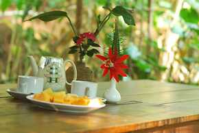 Green Spaces Munnar