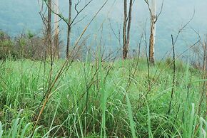 Green Spaces Munnar