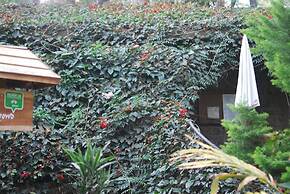 Green Spaces Munnar