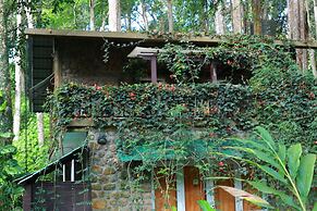 Green Spaces Munnar
