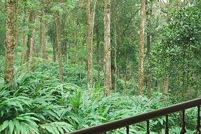 Green Spaces Munnar