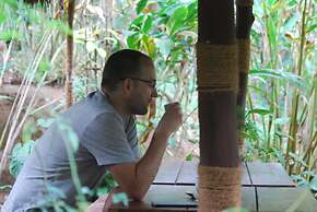 Green Spaces Munnar