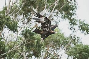 Freycinet Resort