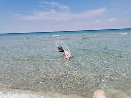 Tenuta Turchi